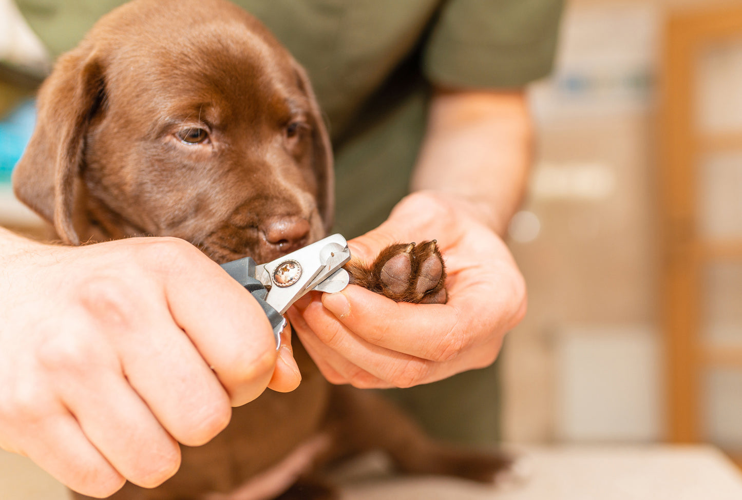 Nail Trim